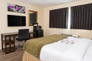 Bedford Motel - 3