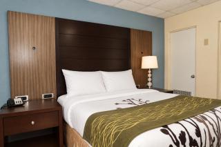 Bedford Motel - 0