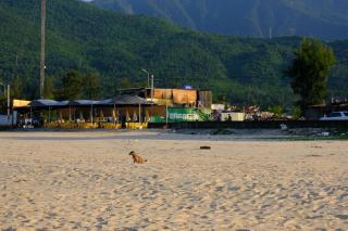 TNT Homestay - 9