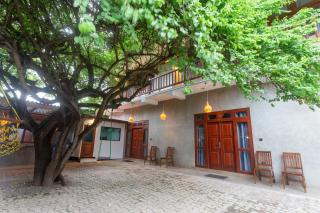 Mich's Surf Villa & Hostel - 2