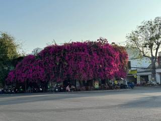 Phan Thiet Harbour Homestay - 9