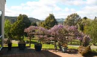 Kaikohe Lodge - 7