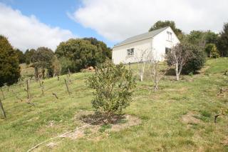 Kaikohe Lodge - 1
