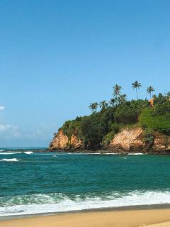 Surfer's Club Weligama - 0