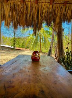 Casa pájaros- Habitación Colibri - Troncones - 2