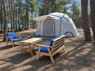 Pine Forest Camping in Kobayat - 5