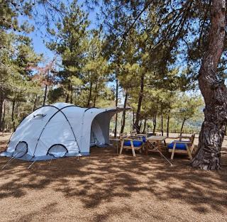 Pine Forest Camping in Kobayat - 8
