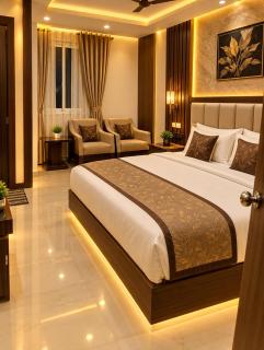 Hotel SHIVAJ Plaza Delhi airport - 8
