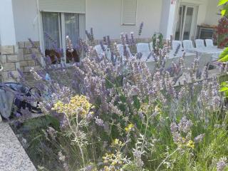 Mile Ferienhaus-excellent location close to Rab - Rab - 7