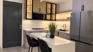 Luxury apartment near the government center and consulate - 5