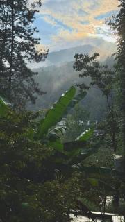 Yiji Hillside Guesthouse - 0