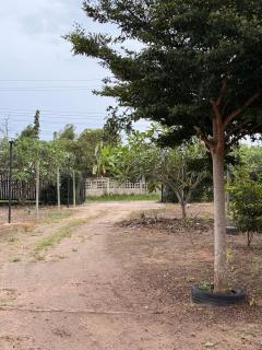 GARDEN HOUSE Pai - 2