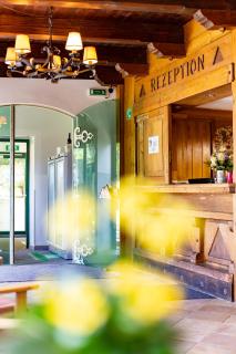 Das Alpl Resort - Krieglach - 8