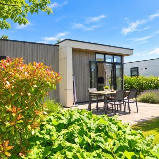 Vakantiehuis aan de IJssel, fietsen, wandelen, wellness en hond - 1