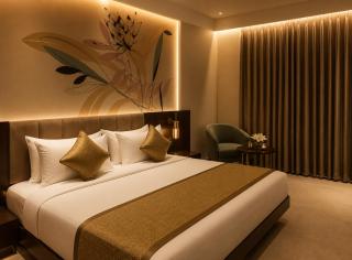Hotel Dream Tark Near IGI Airport Delhi - 7