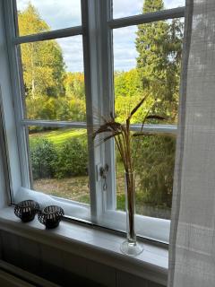 Red Cottage Countryside B&B - 3