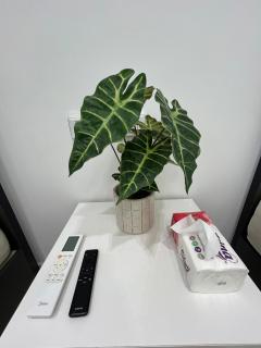 Endless Summer - 2BR Apartment - 2nd Floor - 2