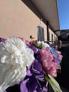 PAMA Home - 7