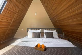 ELIVAAS Signature A by the Hills Luxury Attic Style 3 BHK Villa with Pvt Pool, Sit Out & Hill Views - 1