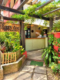 Lazy Dog Bed & Breakfast - 2