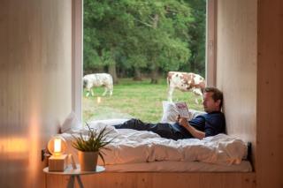 Kalmdown Slow Cabin - Antwerpen - Wuustwezel - 3