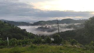 Evara Hills - 1