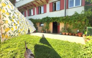 Daheim Nr 1 - Südwesterhaus Allgäu - 5