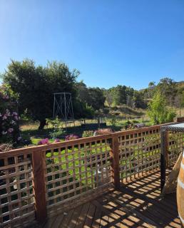 Moonaree Cabin, Narrawong - 2