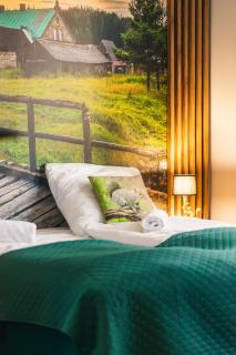 Apartament Izerka z basenem i sauną - Stone Hill - 9