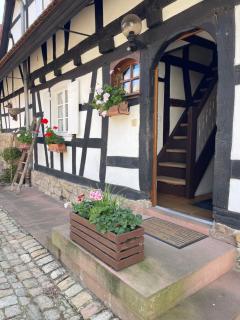 Gîtes et chambres d'hôtes Maison Ungerer - Hunspach - 8