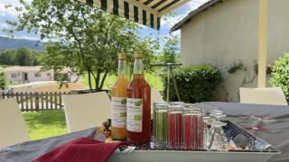Le clos saint-paul - comminges - 9