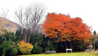 Bronte Haus - 4