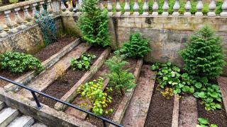 Fabulous 6-Bed Victorian Period House Sleeps 12 - 1