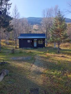 Nabbvolen wood house - 6