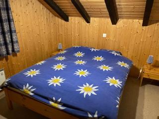 L'Attique du Vieux-Champex - 5