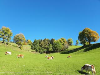 Bergpension Ebental - 6