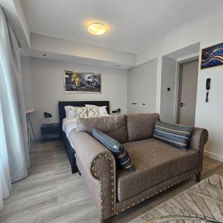 LUX Homes Altura Apartments Studio 1810 - 1