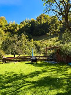 Casa TOR - Moieciu de Jos - 1
