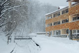 Tsaghkahovit Hotel - Tsachkadzor - 8
