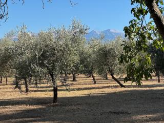 Casetta di Pierina, a detached eco-house - 5