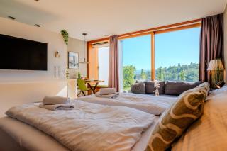 Vineyard View Retreat - Terrace, Pool & Sauna - 1