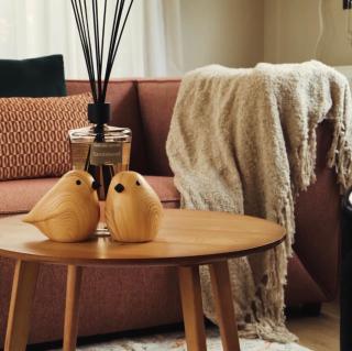 Romantisch Boshuisje voor 2 - Veluwe & Sauna Drôme - 7
