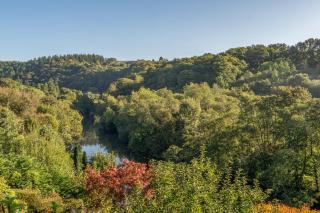 2-Bed Cottage Devon Cornwall border - Dog-friendly - 3