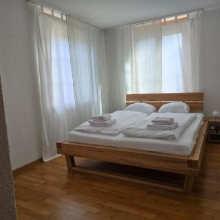 Sofia Apartment - Aare Jungfrau AG - 9