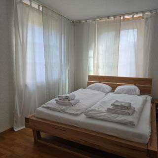 Sofia Apartment - Aare Jungfrau AG - 7