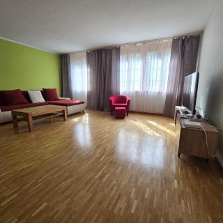 Sofia Apartment - Aare Jungfrau AG - 6