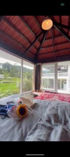 Peninsula by Chessboardvilla - 5