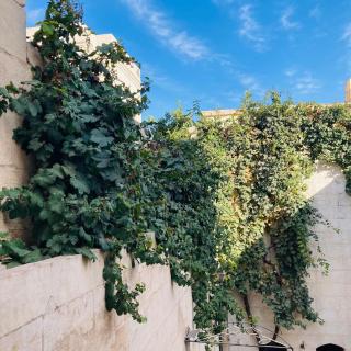Urfa Evi - 6