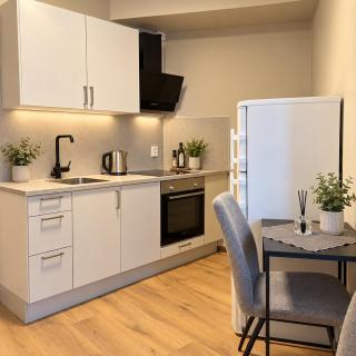 3- Cozy, newly renovated studio apartment with an alcove - 9
