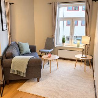 3- Cozy, newly renovated studio apartment with an alcove - 8